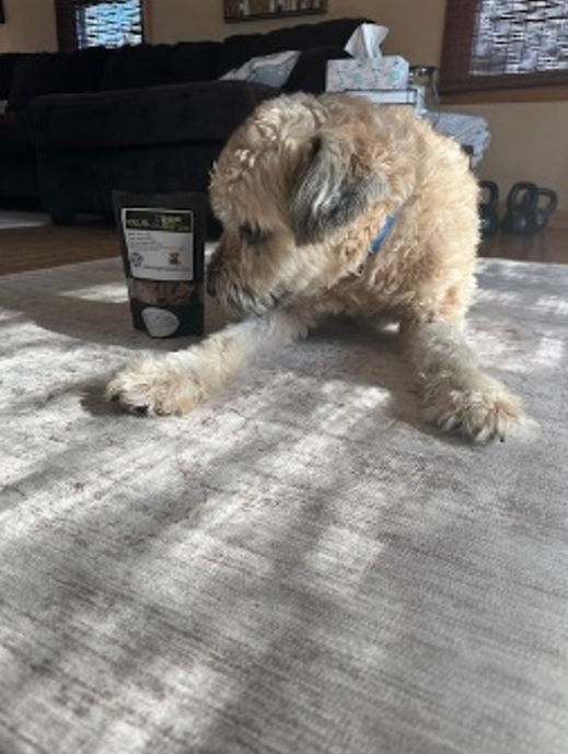 Dog Safe Micronutrient Powerhouse