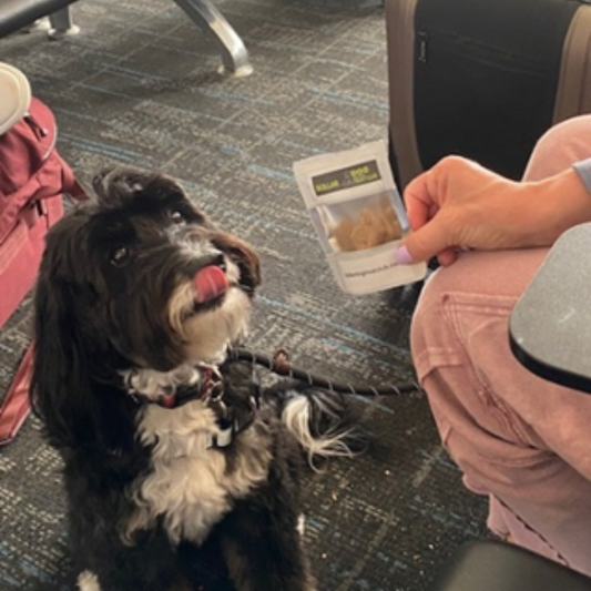 What Makes Our Treats Different?